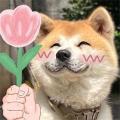超超不吃葱花😜