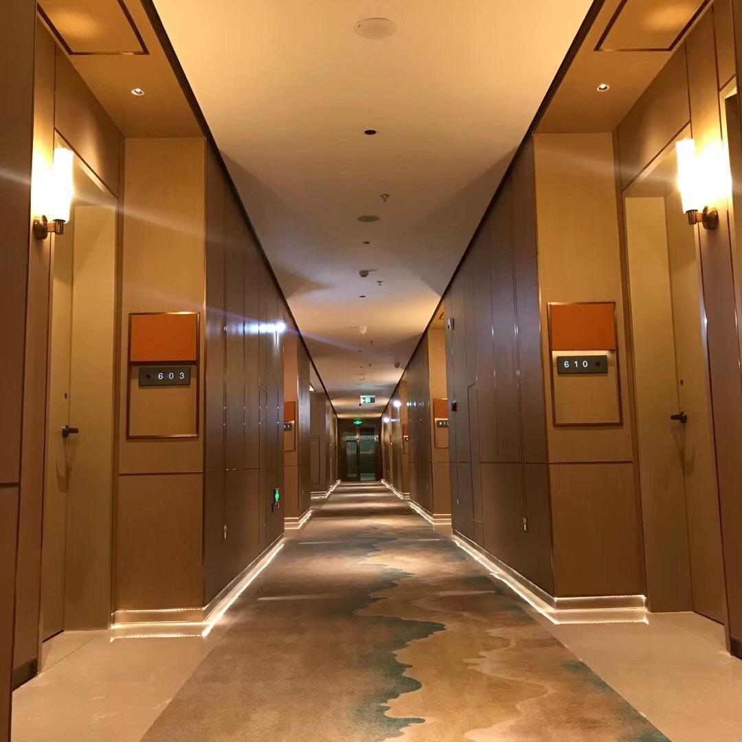 海口宝驹大酒店(高铁东站南海大道店)