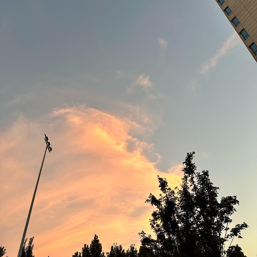 一兜栗子