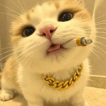 隐伈