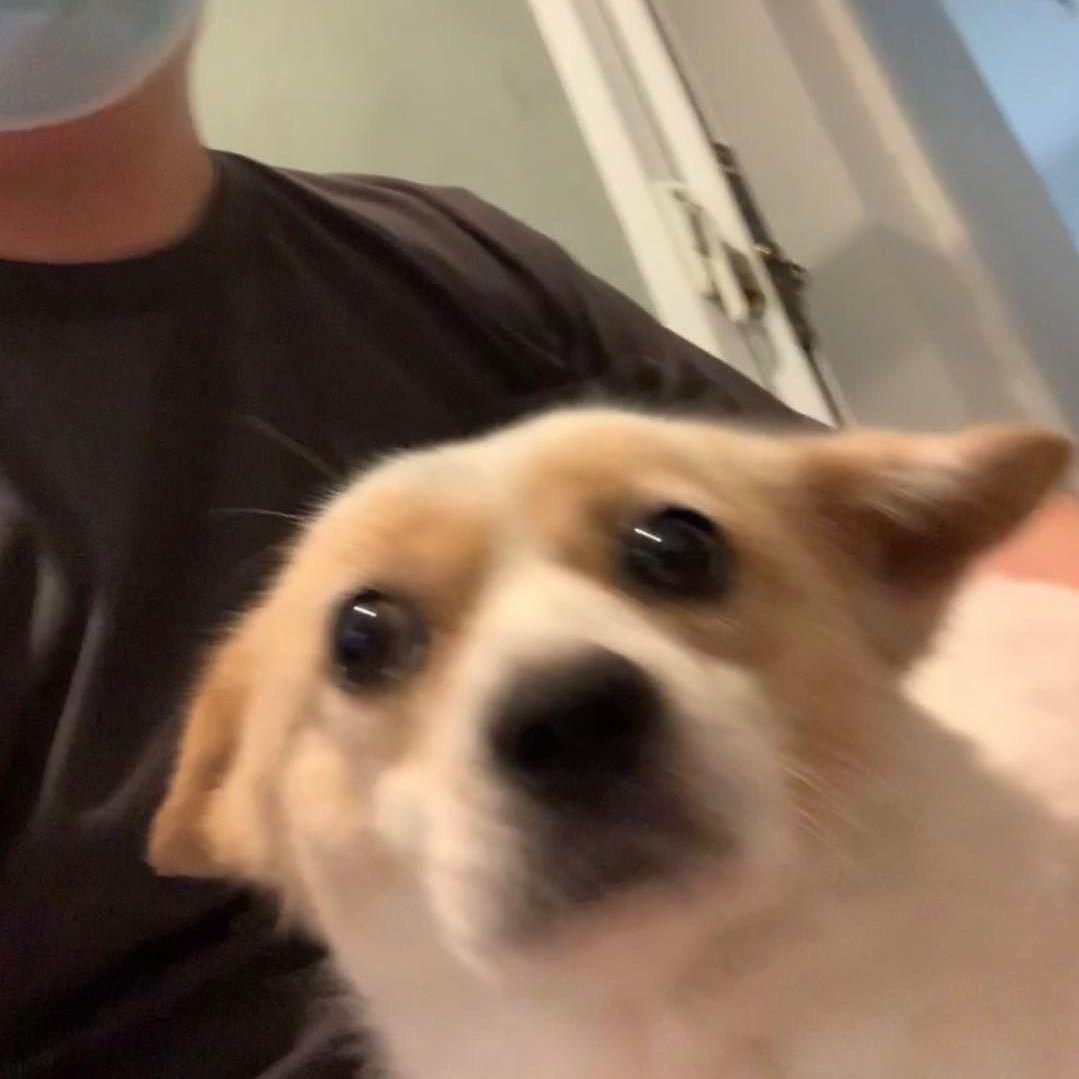 周大只 Sebastian 