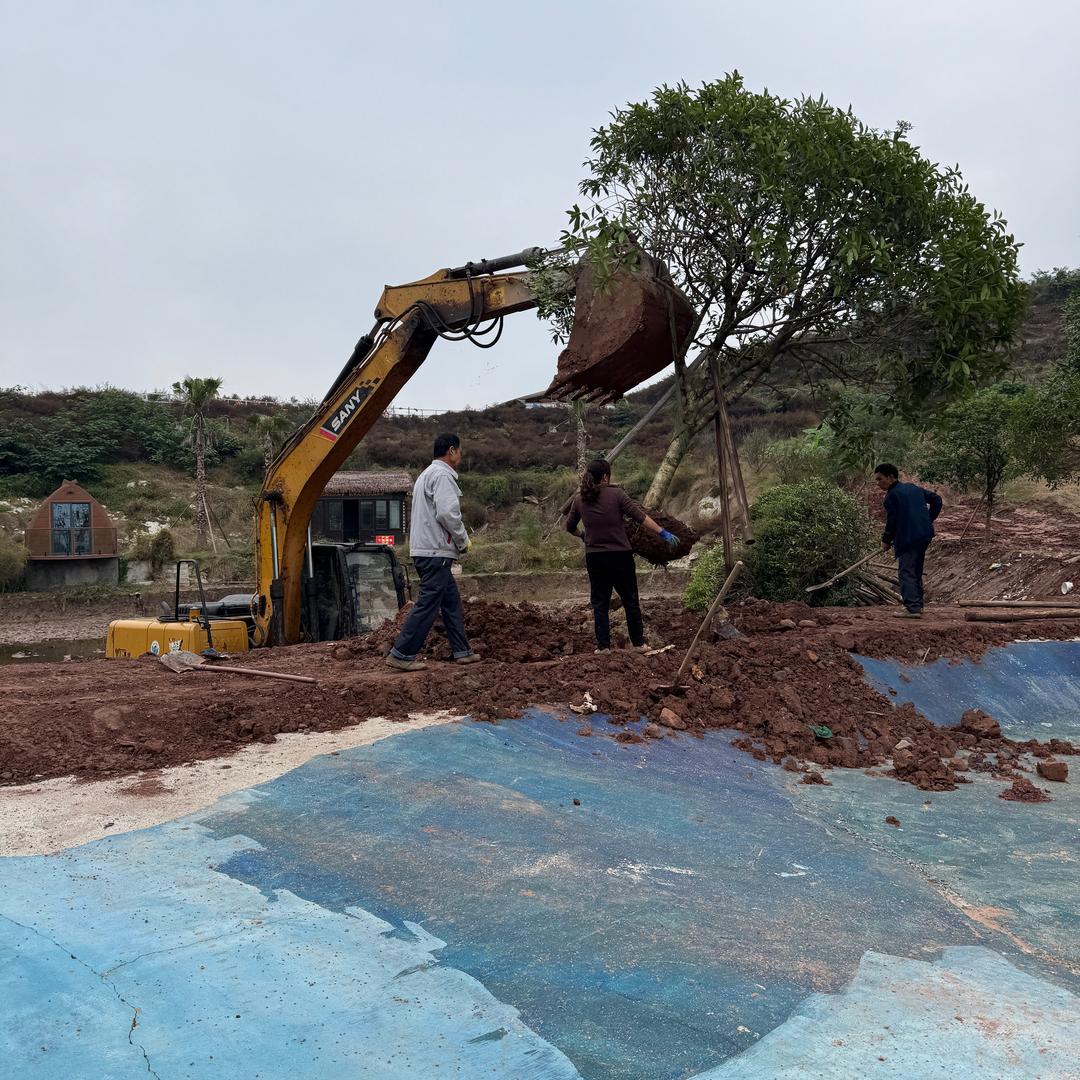 龙叔（自律传媒）