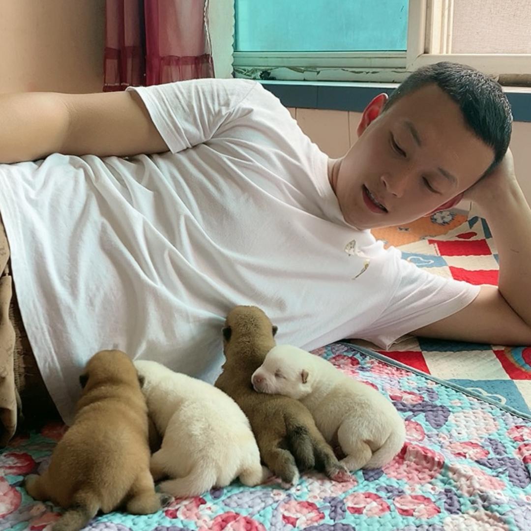杨九久爱玩狗