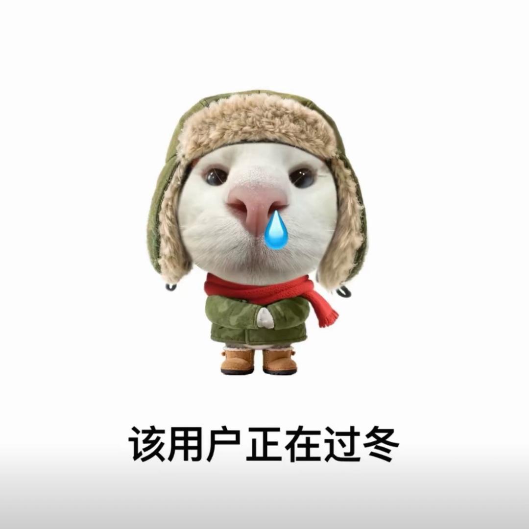 赵Zz💤