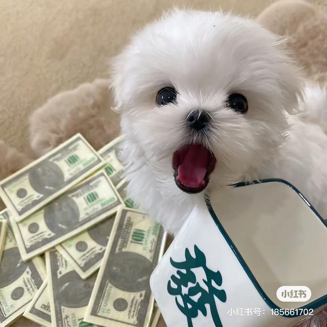 我爱水果捞！（爱学习版）