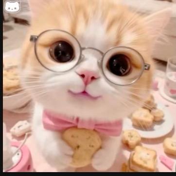 不想和傻子讲道理