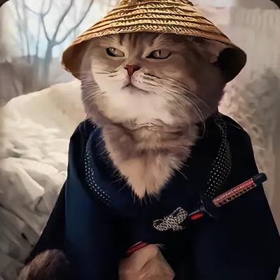 呆头龙_