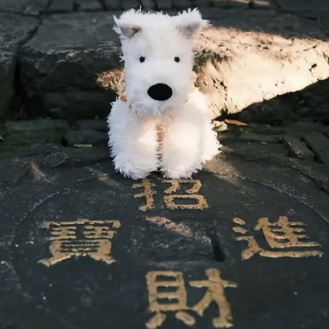 陈爆丹