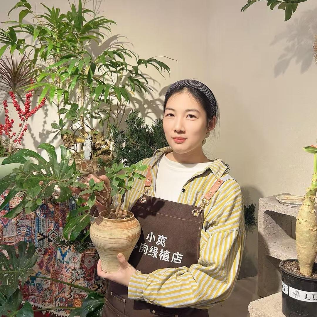 小爽多肉绿植店