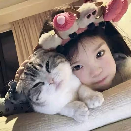 小菊子
