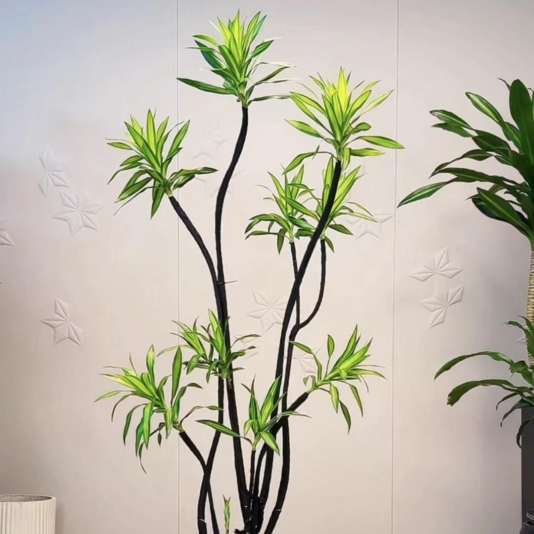 遇见绿植基地