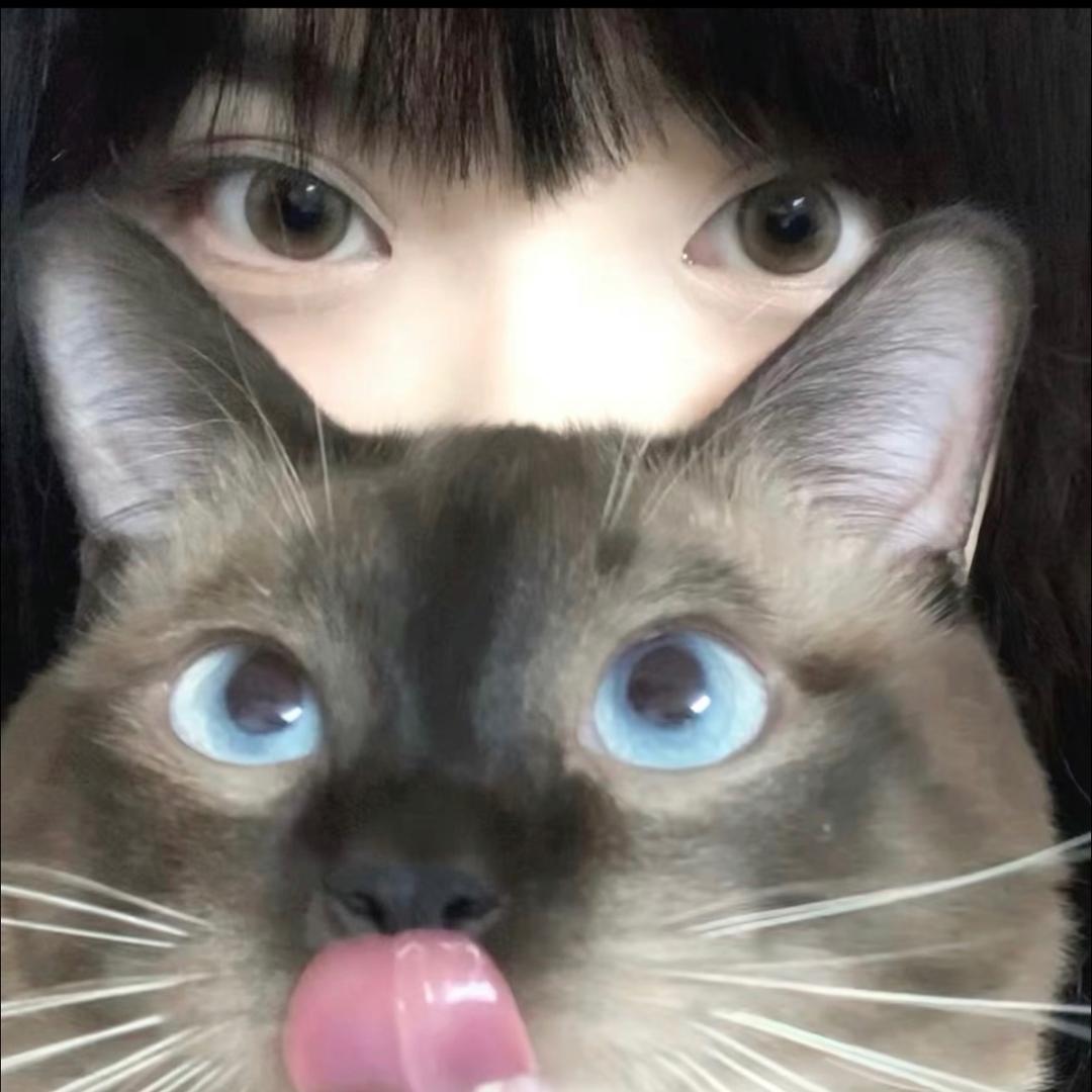 小猫碎碎冰