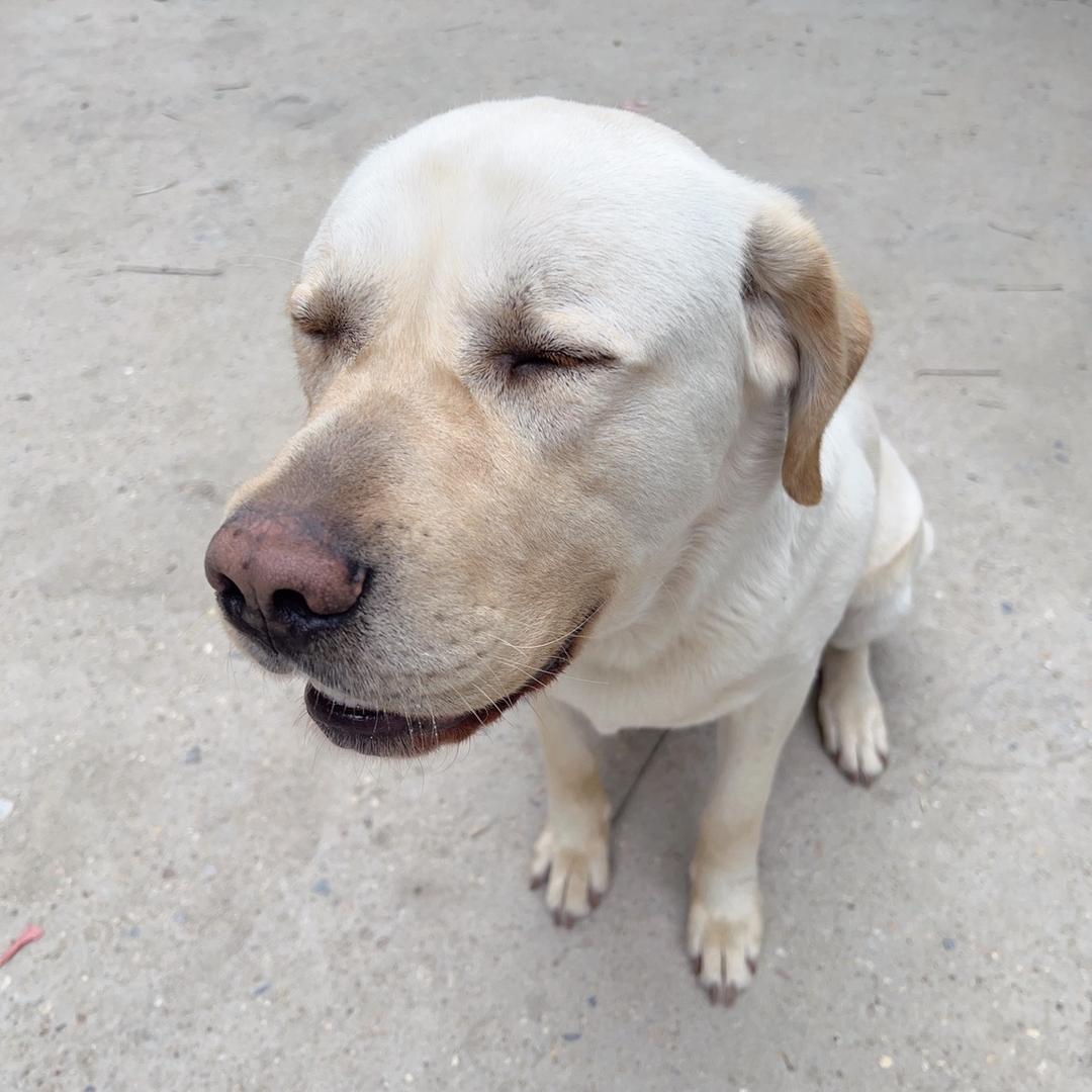 ᥫᦱᐝ柿柿🌻⃟⸜如意ཀོ