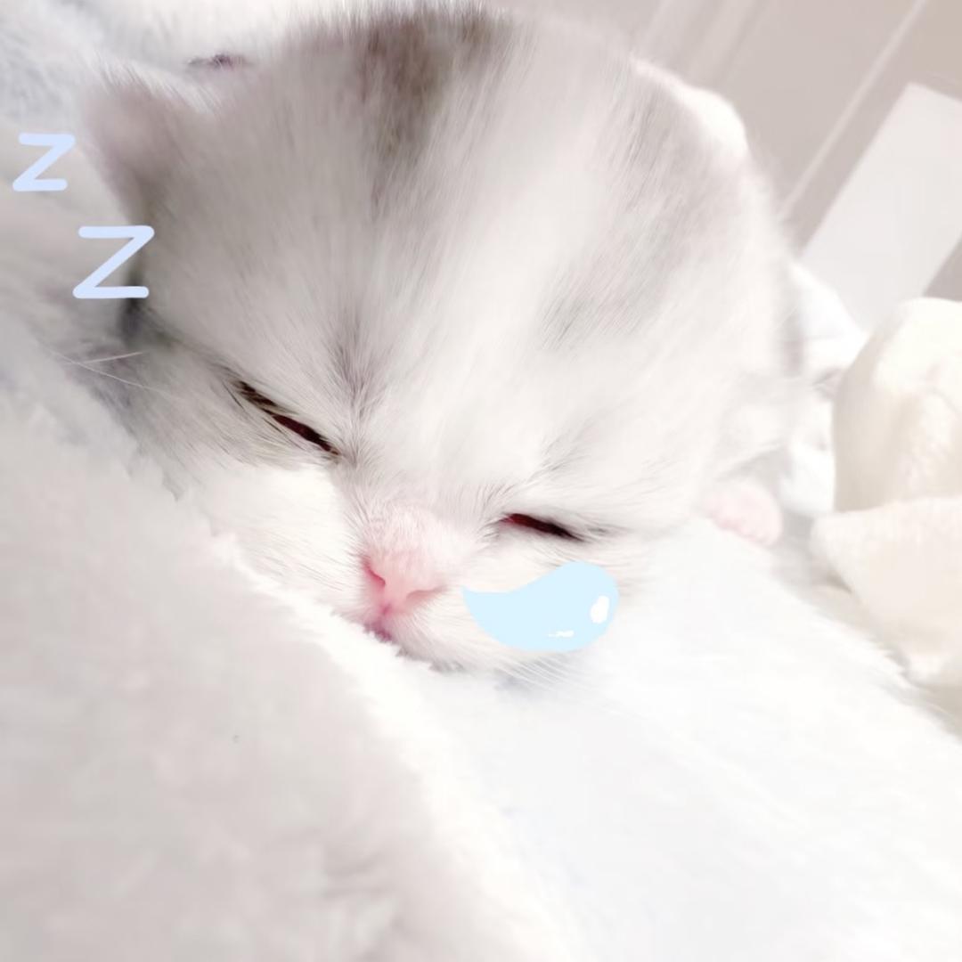 我泪泪的