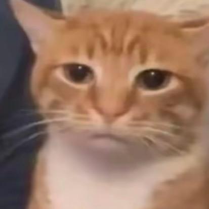点