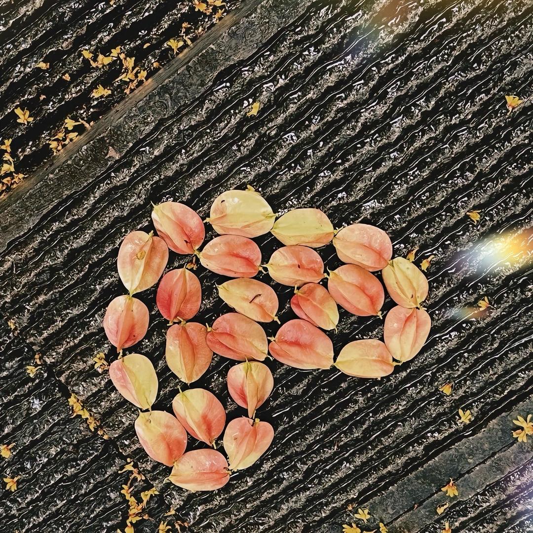 陈陈