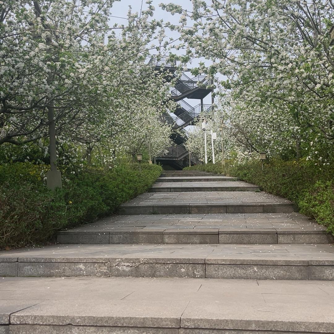 小丑八怪