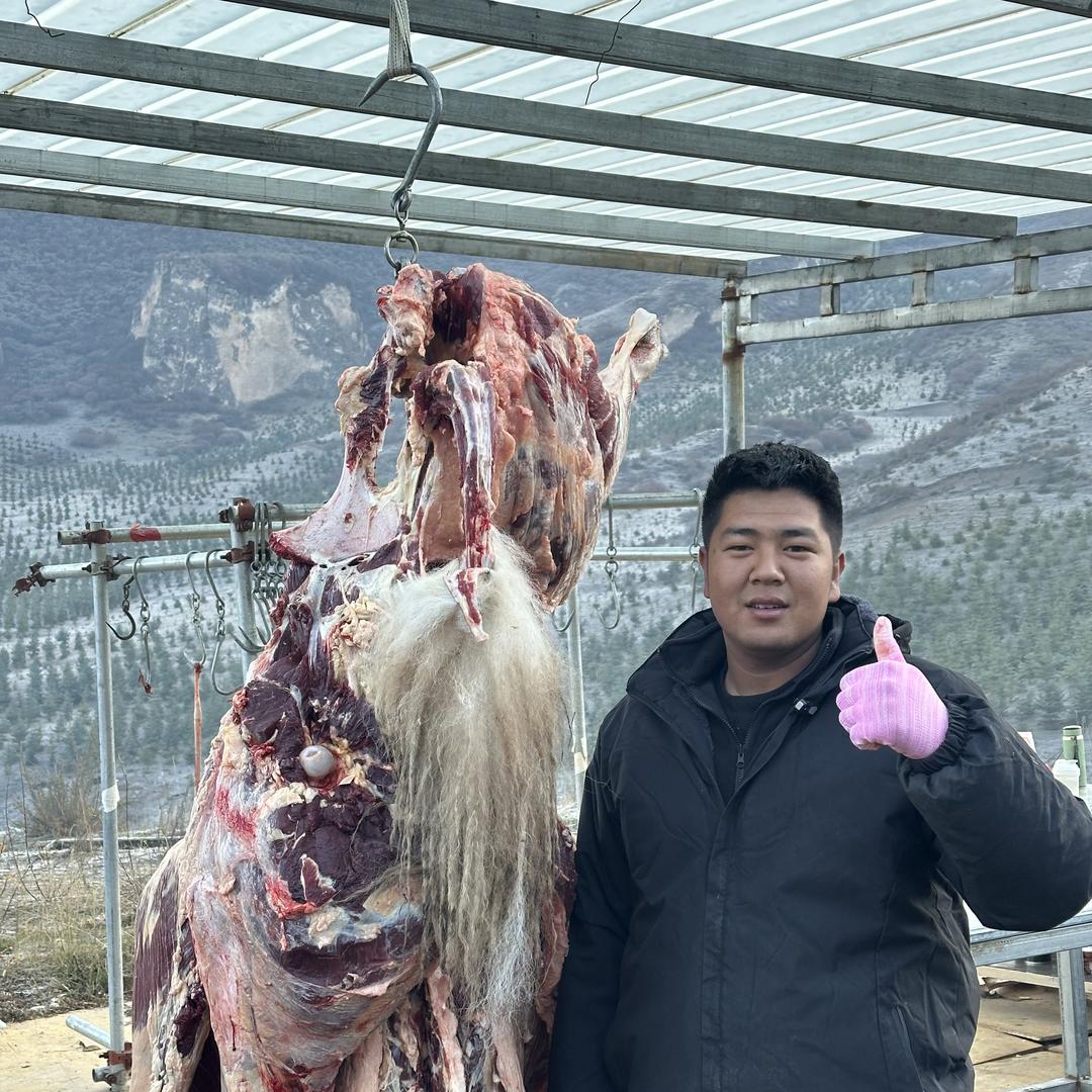 青藏高原牦牛肉-萨本萨
