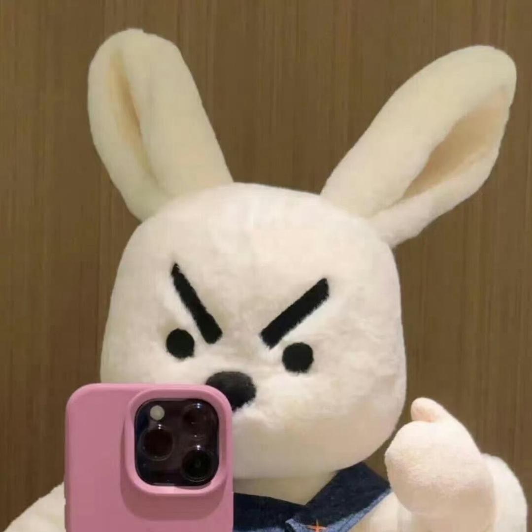 圆子超爱玩