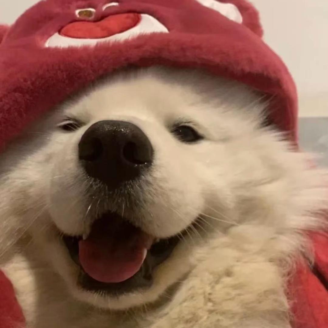 爱吃咸的