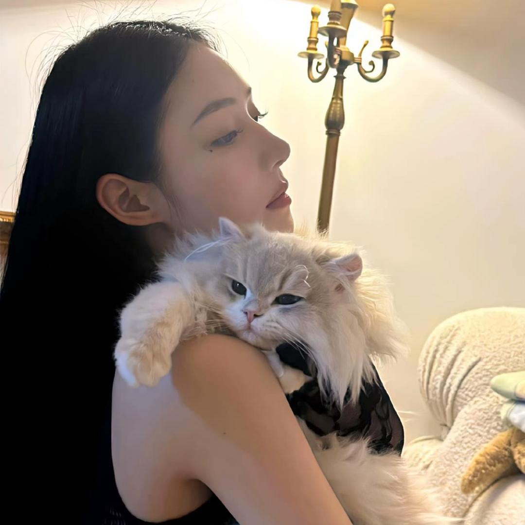 Q悦