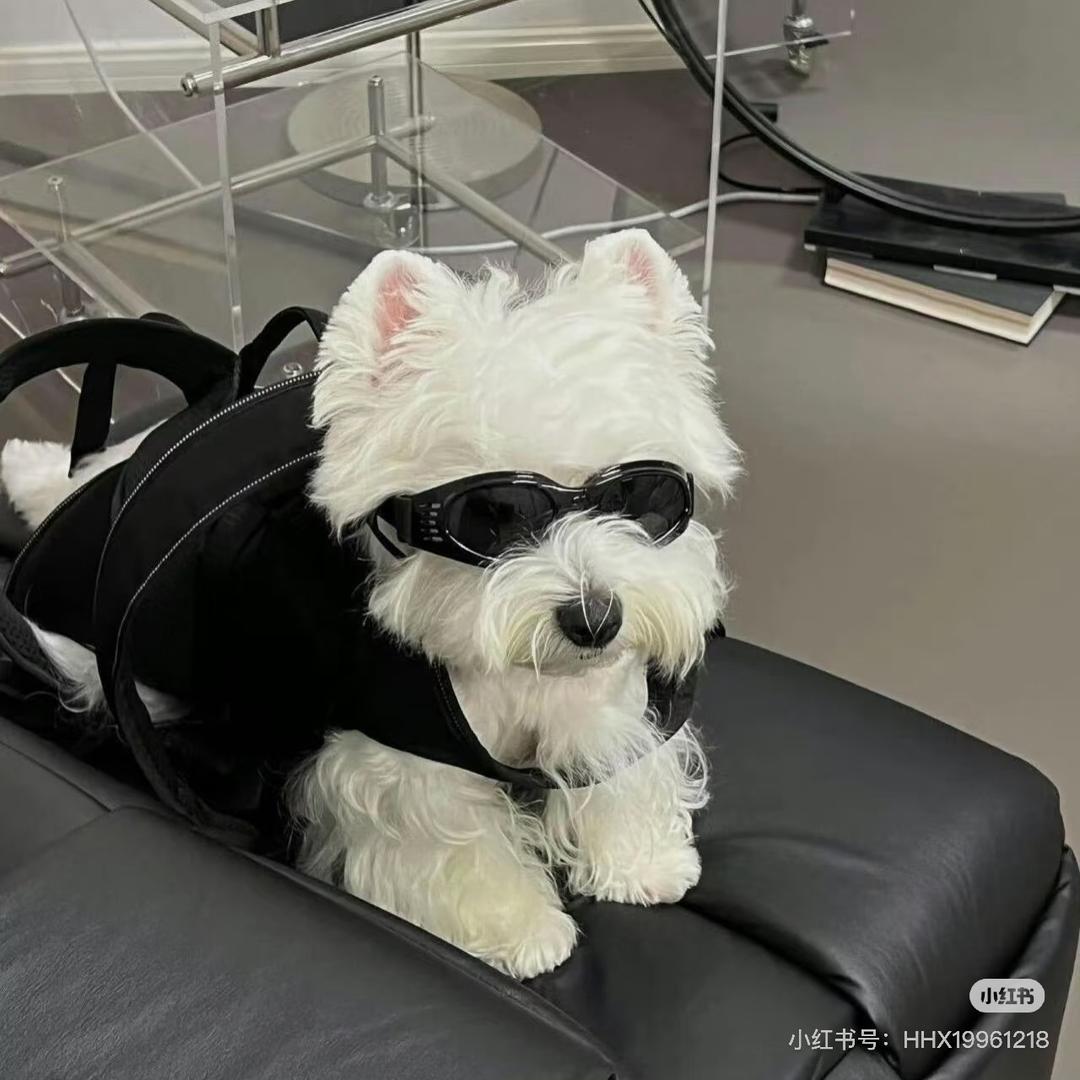 语你无瓜瓜瓜瓜