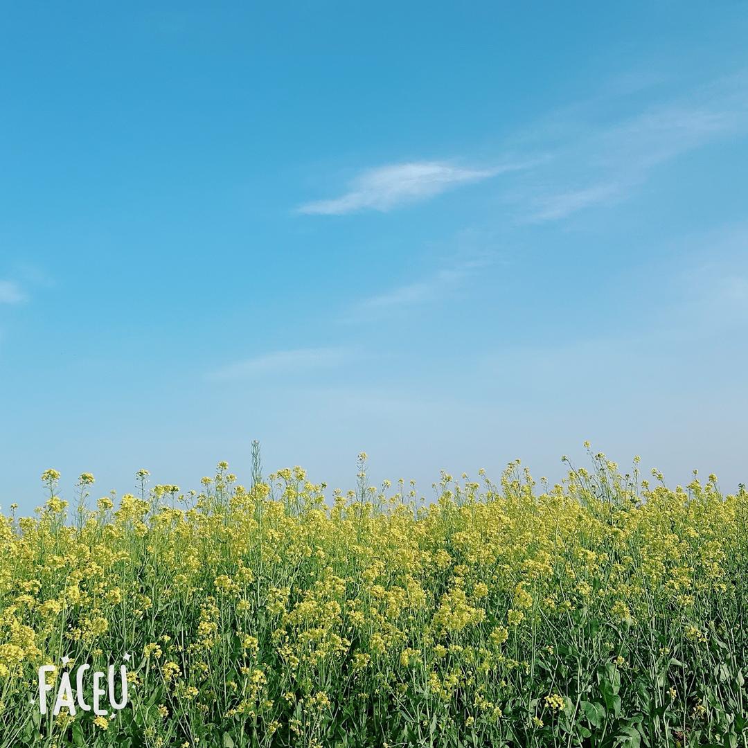 ✨时来💰运转✨