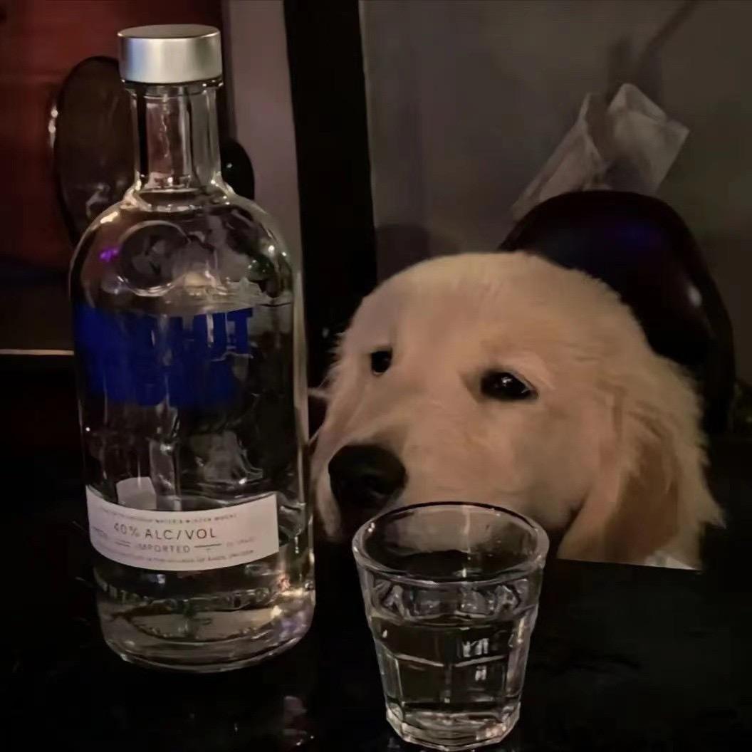 南风知我意