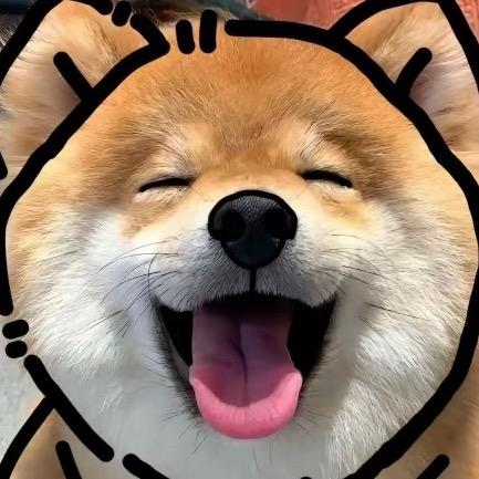 emo 的猫^-^