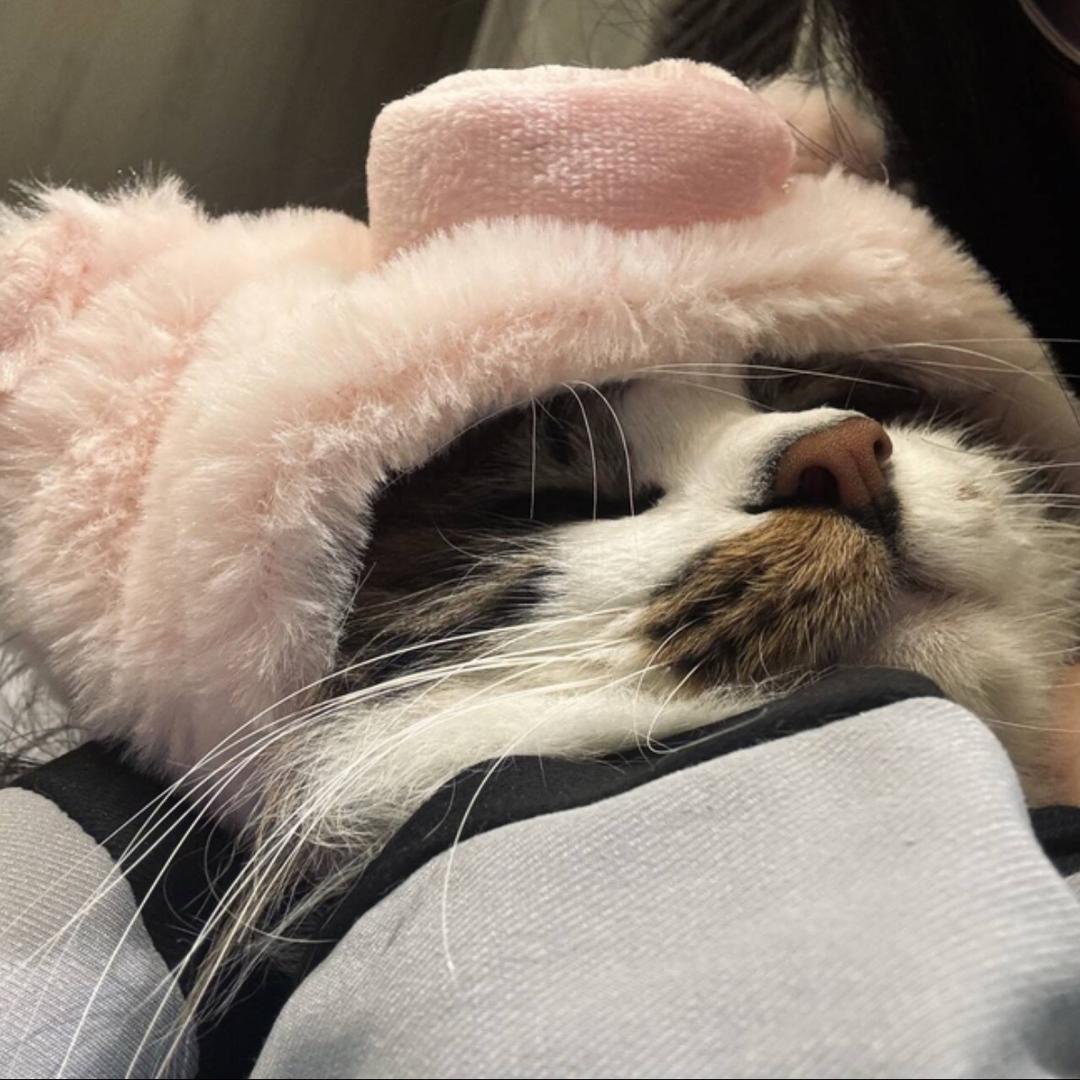 小小趙.