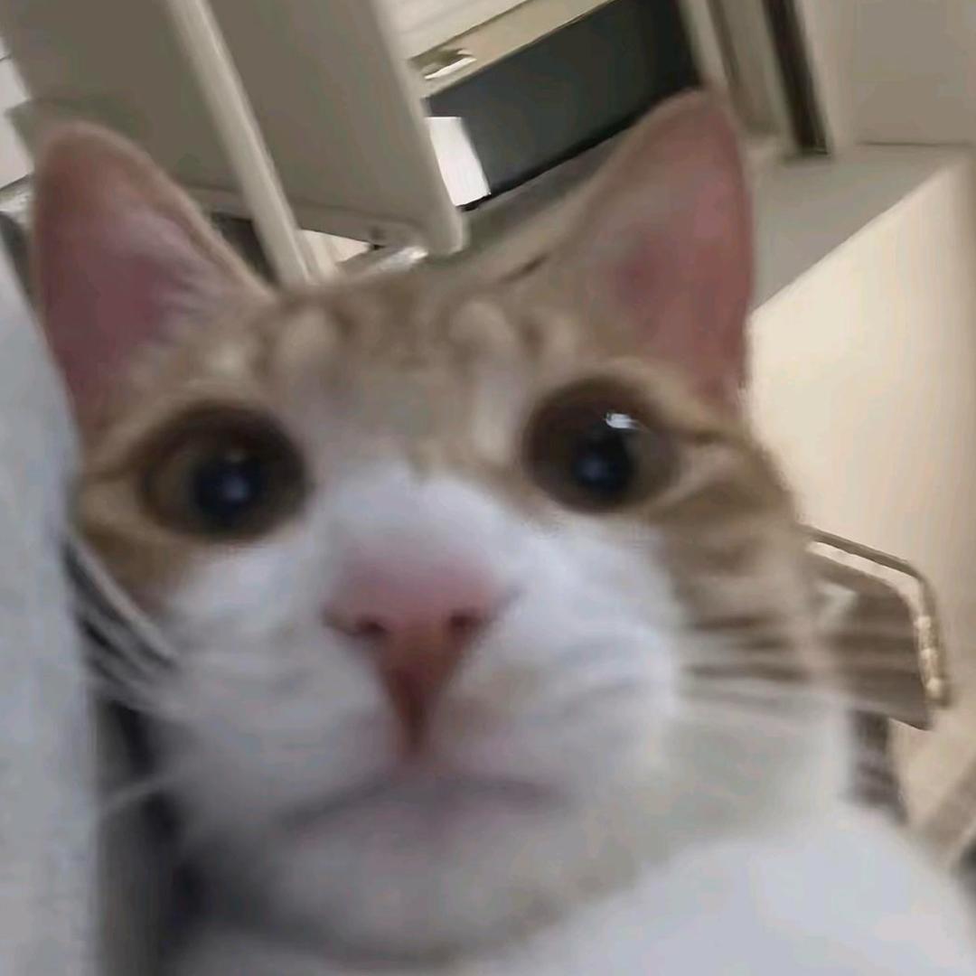 赵小小.