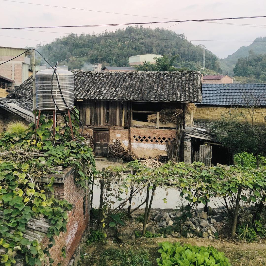 山庄小姑娘
