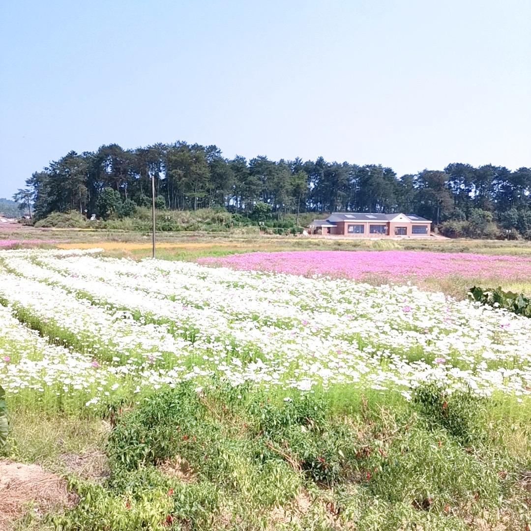 💞ঞᩚ᭄幸运ꕥ້໌ᮨ相随💕