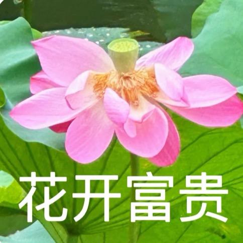 美女ᵉᵐᵒ了.