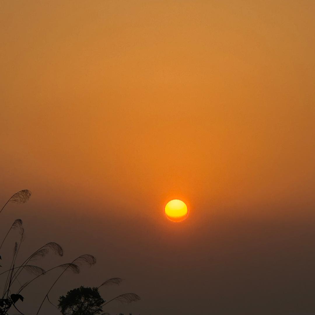 陈家✨菇凉