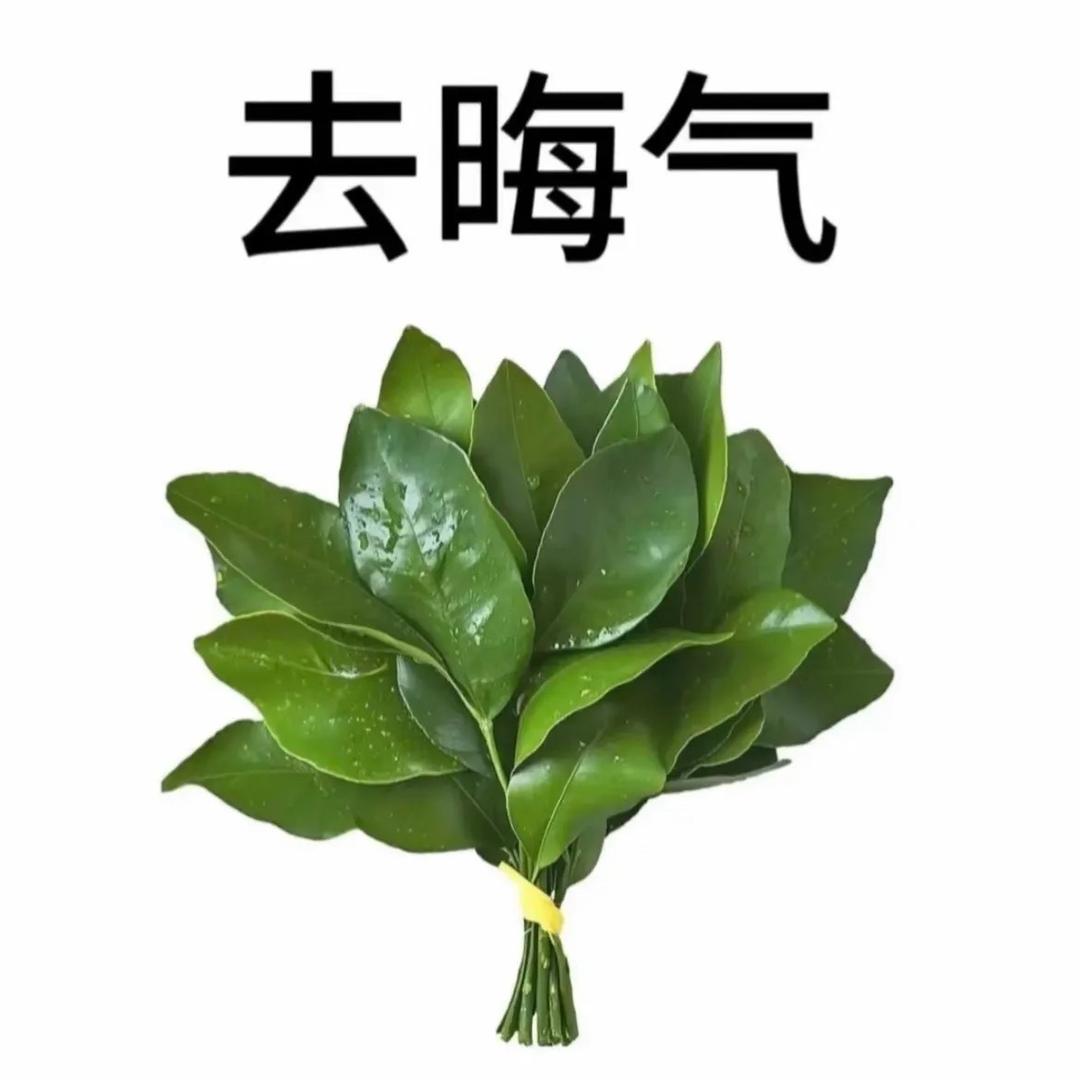 一个逸