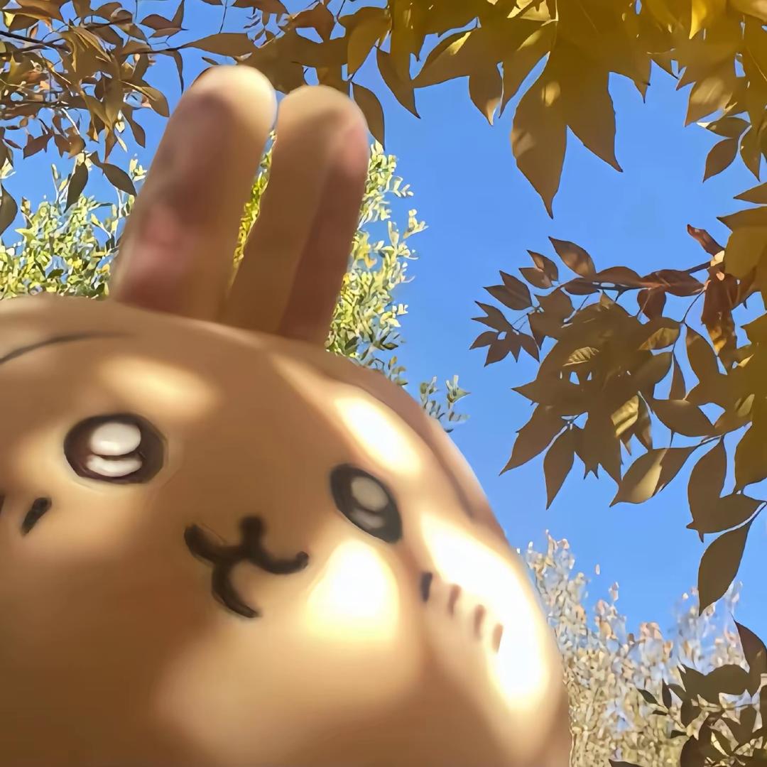 执念う