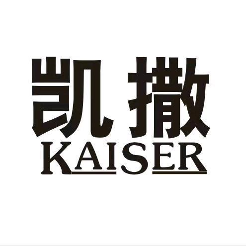 凯撒路易