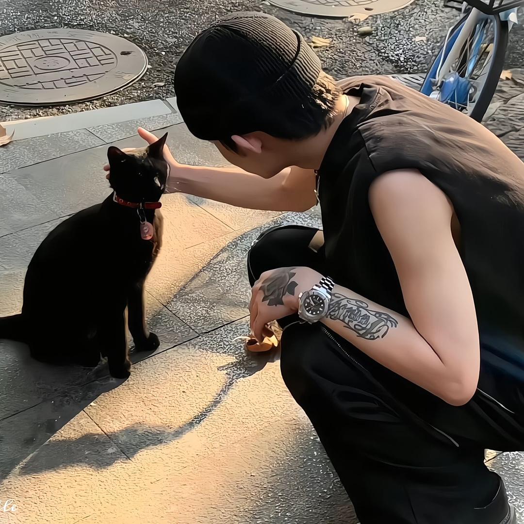 偷月亮的猫