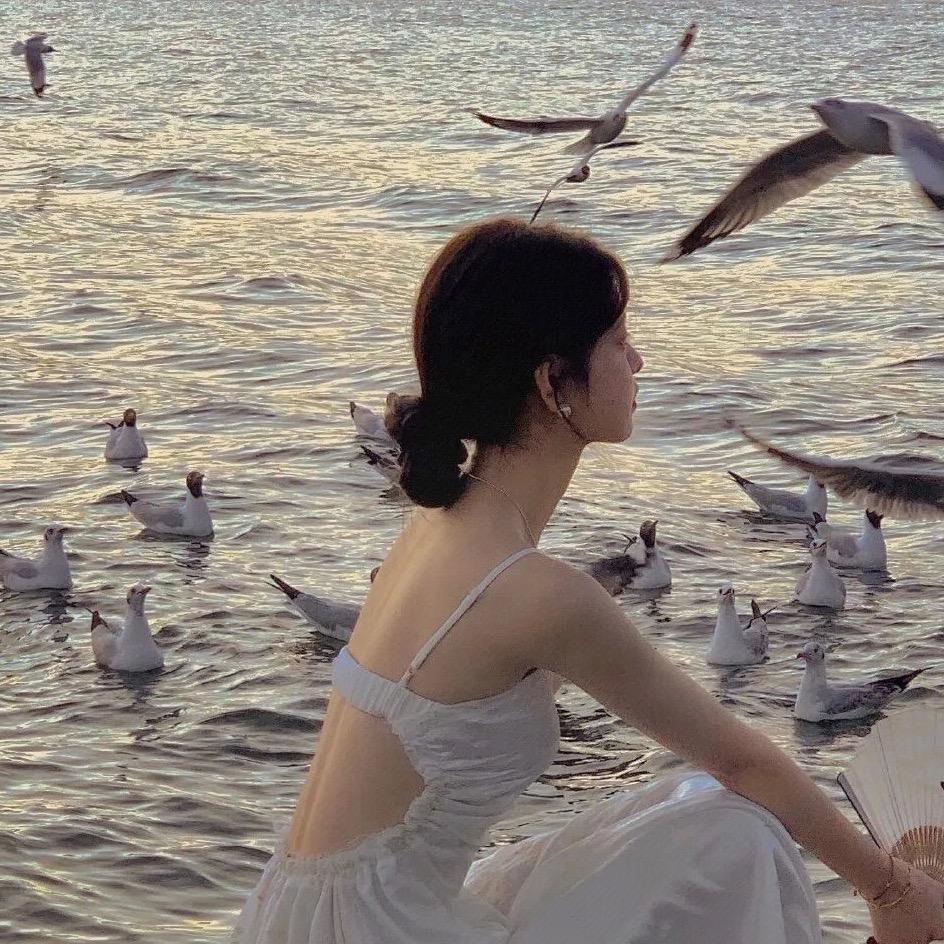 樱子海棠
