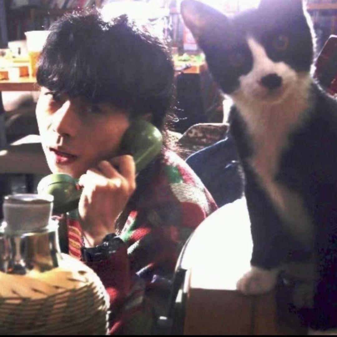 🐱🐱逮