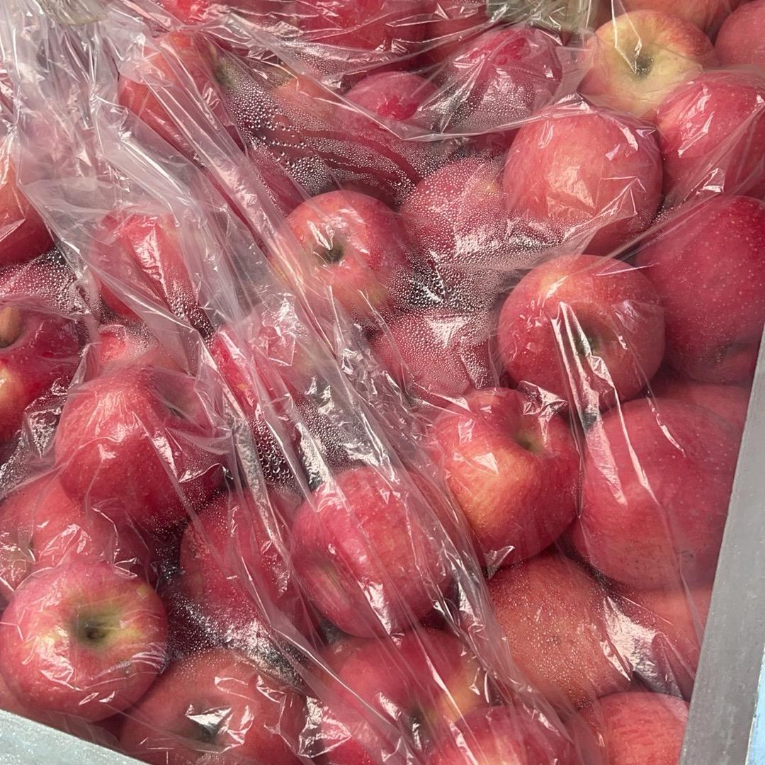 陕西洛川红富士🍎
