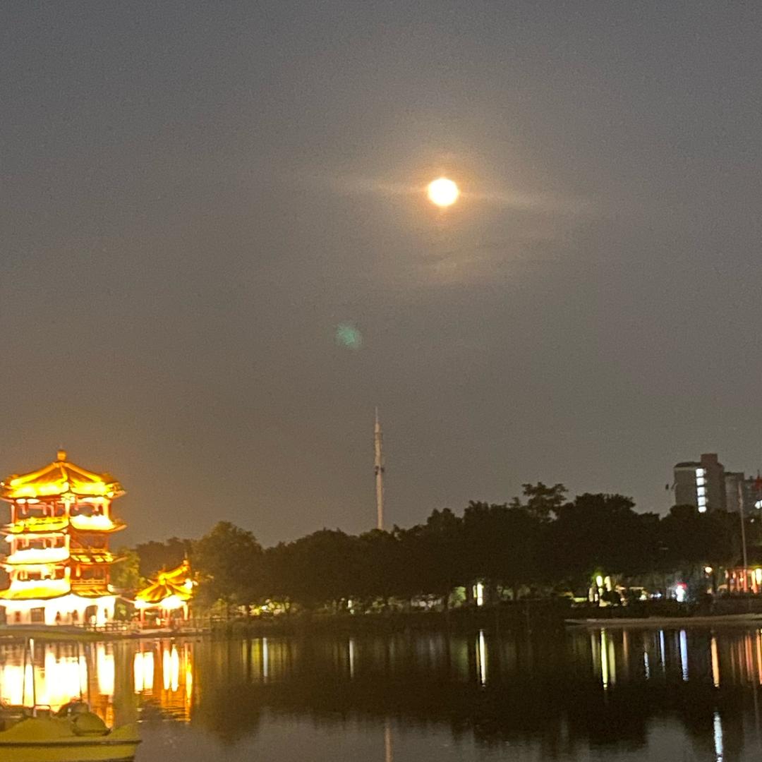 @林间小道