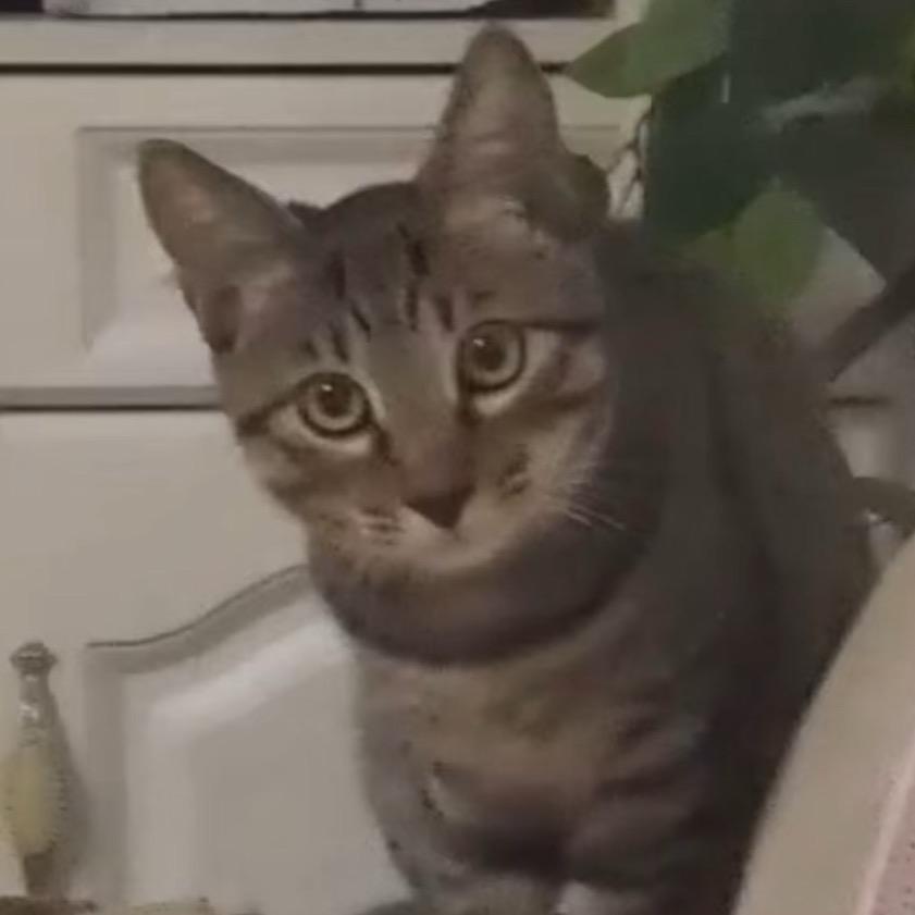 瑶筱娟(日常版)