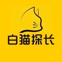白猫探长