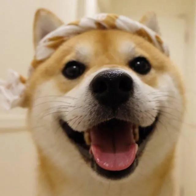.哈哈.
