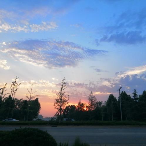 新浪微博（官方已认证）