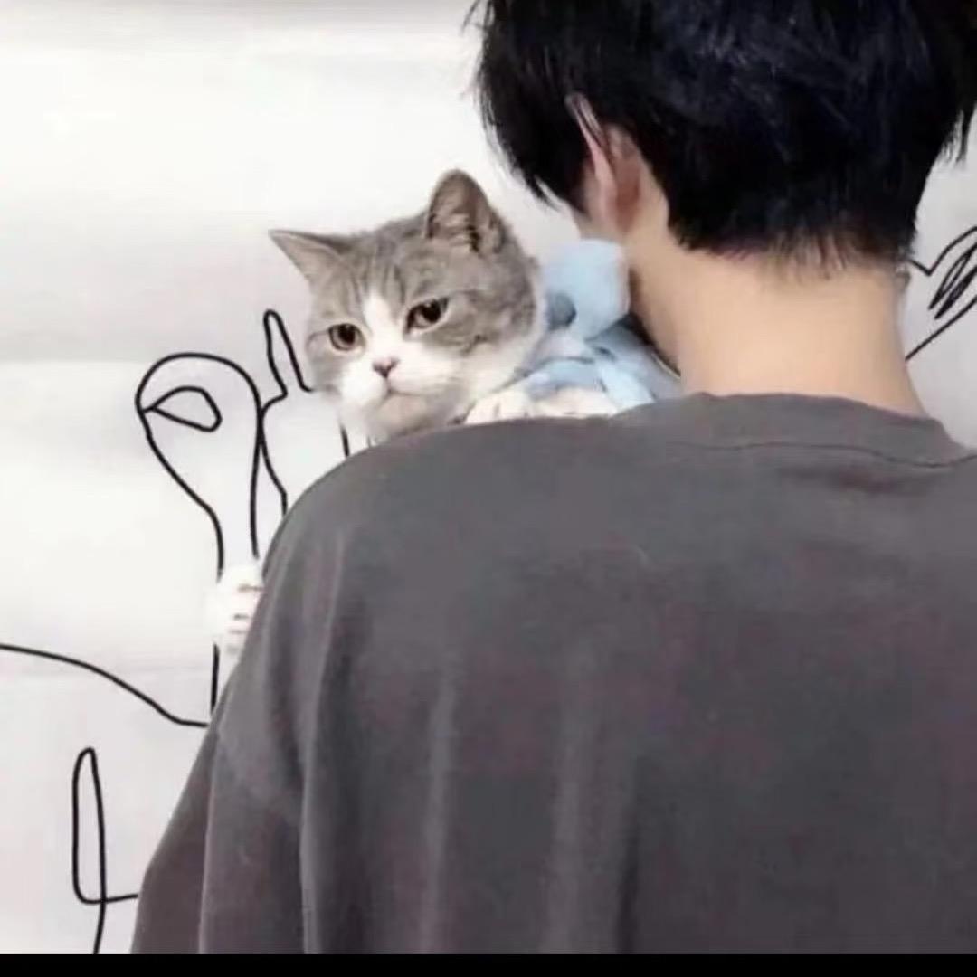 小小朱