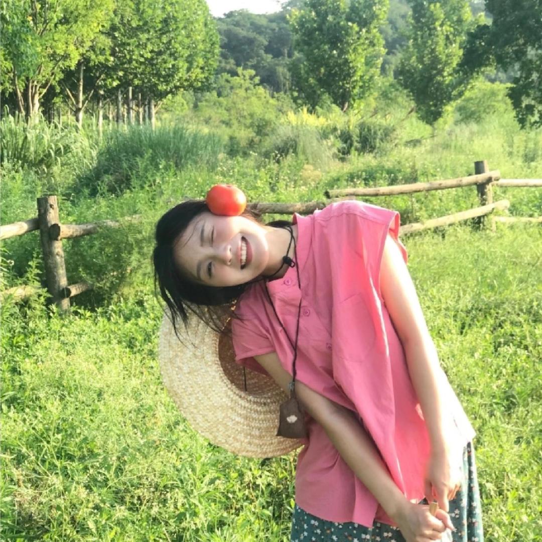 一只芝🧚‍♀️