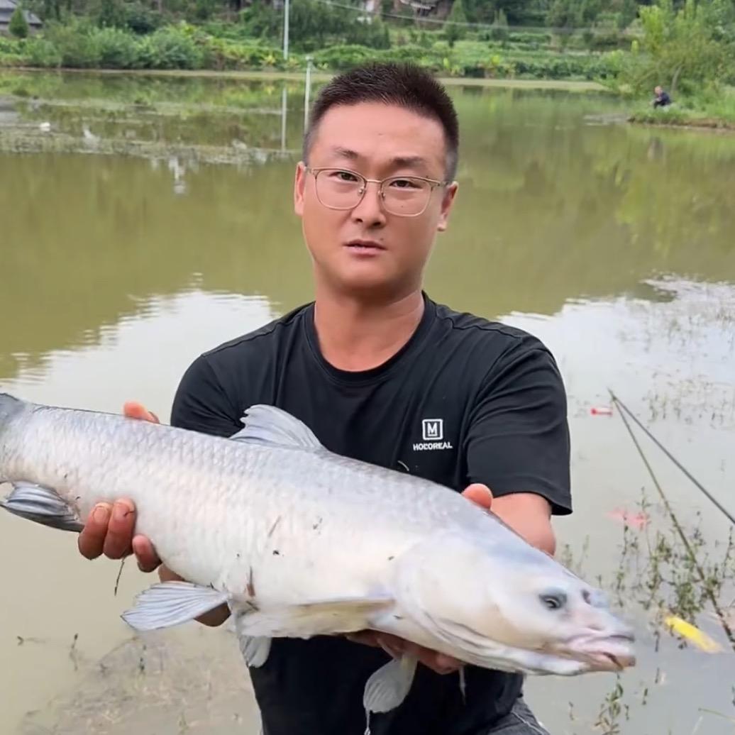 巴中小钓王